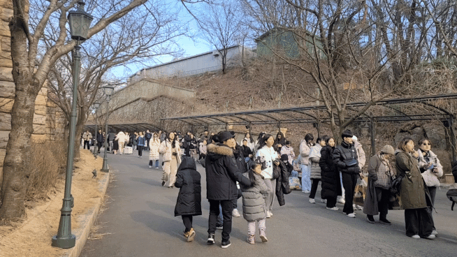 [르포]'푸바오' 기다림 8시간… 