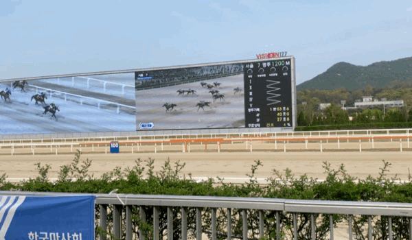 영상은 경기도 과천시 렛츠런파크 서울에서 열린 레이스 현장. /영상=정수현 기자 