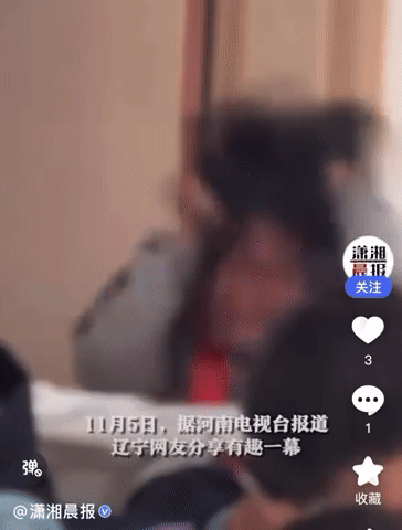 한 중국인 초등학생이 문제가 잘 풀리지 않아 머리를 마구 헝클어뜨렸다. 영상은 해당 소녀의 당시 모습. /영상=샤오샹 모닝뉴스 캡처