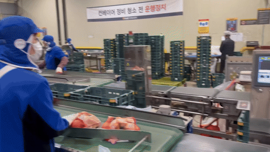 [르포] 이마트 양파값이 싼 이유, '이곳' 가면 압니다