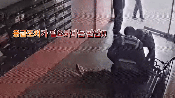 영상은 아프트 현관 벤치에 앉아 있다 쓰러진 남성에게 심폐소생술을 실시하는 경찰의 모습. /영상=유튜브 채널 