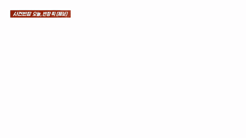 영상은 목줄이 풀린 채 돌아다니던 대형견 셰퍼드가 제보자의 반려견인 치와와를 공격한 당시 상황. /영상=JTBC 