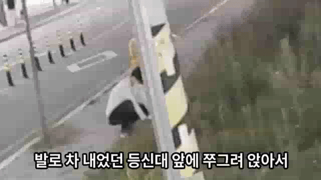 영상은 전주시 한 사거리에 설치된 이윤희씨 등신대를 훼손하는 40대 남성의 모습. /영상=유튜브 채널 