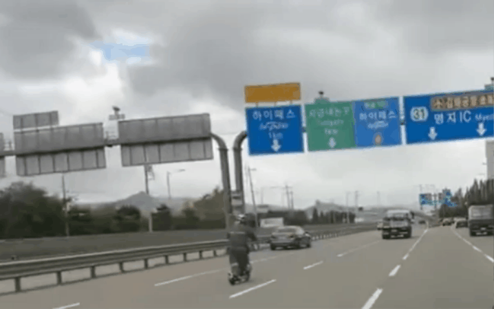 전동 킥보드가 6차선 고속도로에서 질주하는 모습이 포착돼 공분이 일었다. 영상은 전동 킥보드가 6차선 고속도로에서 질주하는 모습. /영상=온라인커뮤니티