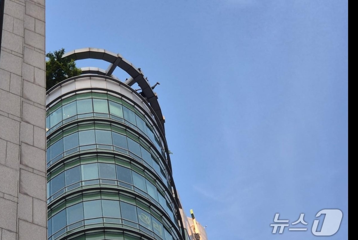 2주만에 강남서 또 투신 소동…이들은 왜 고층 빌딩에 올랐을까 - 머니S