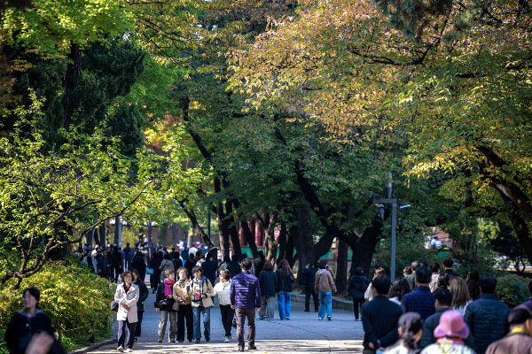 오는 8일은 전국 곳곳에 비가 내리겠다. 사진은 완연한 가을 날씨를 보인 지난 4일 서울 중구 덕수궁을 찾은 시민들이 산책을 하고 있는 모습. /사진=뉴시스