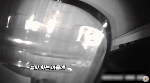 [영상] 경찰 피해 쓰레기통 '쏙'… '전과 22범' 무면허 음주 운전자였다