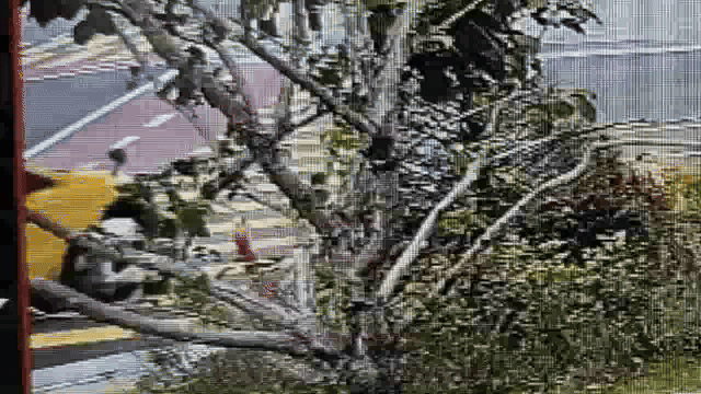 [영상] '아이가 피범벅 됐다'… 스쿨존서 '뺑소니' 저지른 통학버스 기사