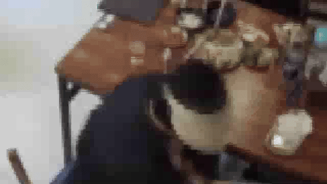 [영상] 대전 족발집서 접시 슬쩍한 노부부… CCTV 영상 보니 '헉'