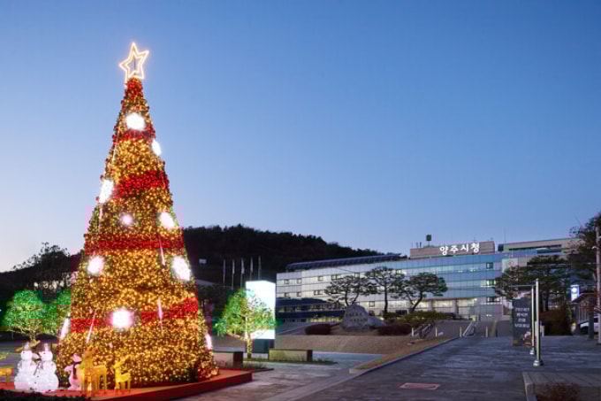 성탄트리가 환하게 불 밝히고 있는 양주시청사 전경. /사진제공=양주시
