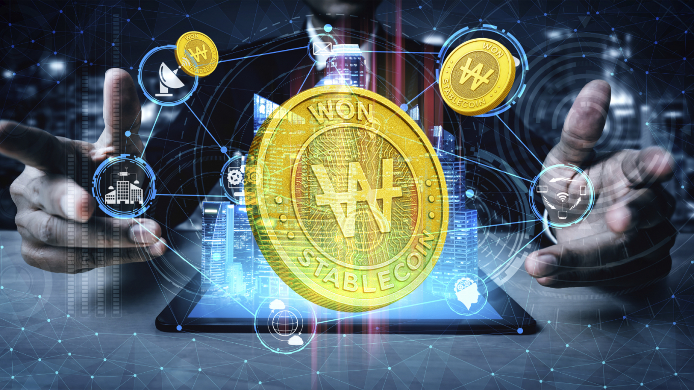 아듀! 2025] 스테이블코인 제도화 추진… 카드업계 기대와 불안 교차 - 머니S