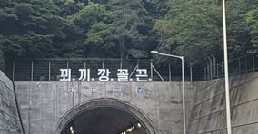 부산시내 도시고속도로 대연터널 상부에 설치된 '꾀끼깡꼴끈' 문구(출처=온라인 커뮤니티)/사진=뉴시스DB