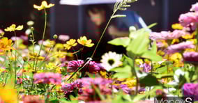 ▲ 성큼, 우리곁으로 다가온 가을