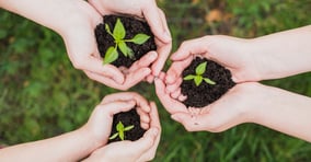 지금은 좋은 나무를 얼마나 보유하고 있는지 스스로 생각해 봐야 할 시기다./사진=이미지투데이