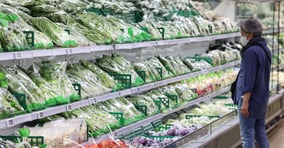 대부분의 채소 가격이 전주 보다 상승했다. 지난 6일 서울 시내 한 대형마트에 상추 등 채소가 판매되고 있다. /사진=뉴스