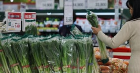 시금치와 오이를 제외한 대부분의 농산물 값은 전주보다 오르고 축산물 값은 소폭 하락했다. 지난 4월 서울 소재 한 대형마트에서 대파가 판매되고 있다. /사진=뉴시스