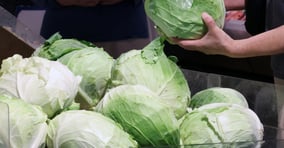 치솟는 배춧값에 대체 식품으로 양배추를 찾는 이들이 들면서 지난주보다 양배추 가격이 16.5% 올랐다. 서울 소재 한 대형마트에서 소비자가 양배추를 고르고 있다. /사진=뉴스