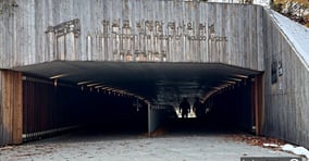 29일 서울 영등포구 여의도공원과 여의도한강공원을 잇는 &#039;여의도 비행장 역사의 터널&#039;로 시민들이 산책을 즐기고 있다. /사진=장동규 기자