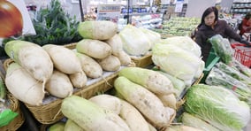 이번주 양파와 무 값이 전주 대비 올랐다. 지난 3일 서울 소재 한 대형마트 채소 코너에서 시민들이 무를 고르고 있다. /사진=뉴스