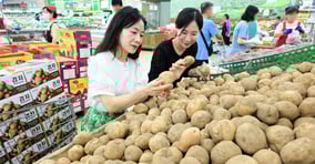 감자 가격이 지난주 대비 18% 오른 반면 대파 값은 10% 이상 하락했다. /사진=뉴시스