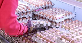 지난 6일 기준 달걀 한판 가격이 5987원으로 전주대비 하락했다. 서울소재 한 대형마트에서 시민이 달걀을 구매하고 있다. /사진=뉴시스