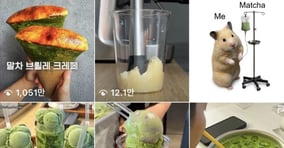 Z세대 사이에서 말차가 트렌드로 자리 잡았다. 사진은 인스타그램에 #matcha를 검색한 결과./사진=인스타그램 캡쳐
