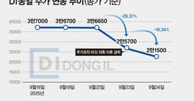 지난 18일부터 24일까지 DI동일 주가 추이. /사진=강지호 기자