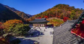 장성에서 늦가을의 고요와 여유를 만나보자. 사진은 백양사 전경. /사진=한국관광공사