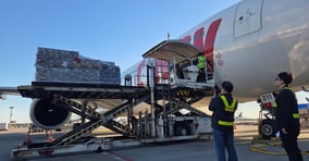 여객 사업의 과잉 경쟁으로 동반 적자를 기록하고 있는 LCC가 벨리카고를 통한 화물 사업을 확대하며 새로운 수익원을 모색하고 있다. 사진은 티웨이항공 관계자들이 화물 운송 품질 점검을 진행하고 있는 모습. /사진=티웨이항공 