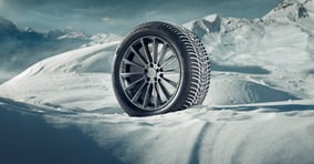 [momo톡]"겨울용 타이어 꼭 필요합니다"… 눈길 제동거리 2배