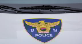 APEC 정상회의를 앞두고 경찰이 사제총기 부품 통관 발견 관련 수사에 나섰다. 사진은 기사 내용과 무관. /사진=클립아트코리아