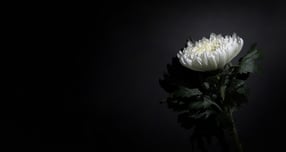 [부고] 최윤성씨(한국토지신탁 대표이사 부회장) 부친상