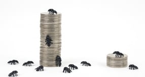 '1억 이상' 큰 개미 투자, 삼성전자·SK하이닉스에 10만건 몰렸다