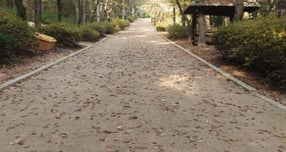 의정부시가 추천하는 &#039;가을에 걷기 좋은 길&#039; 베스트에 선정된 직동근린공원. /사진제공=의정부시