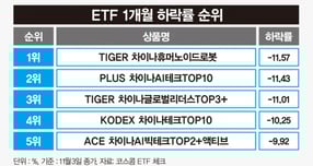 중국 기술 ETF 수익률이 최근 한달 간 부진한 상황이다. 표는 ETF 최근 1개월 하락률 순위. /그래픽=강지호 기자