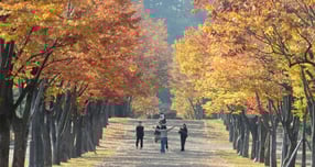 7일 아침은 쌀쌀하고 낮은 포근한 가을 날씨가 이어지겠다. 사진은 포근한 날씨를 보인 지난 5일 오전 울산 남구 문수체육공원 모습. /사진=뉴시스