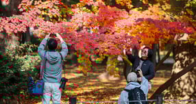 절기상 입동(立冬)인 지난 7일 서울 종묘를 찾은 시민들이 단풍과 함께 추억을 만들고 있다. /사진=뉴스1 김진환 기자