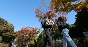 오는 16일 전국이 대체로 맑은 날씨를 보이다가 오후부터 차차 흐려질 것으로 보인다. 사진은 지난 3일 서울 송파구 올림픽공원을 찾은 시민들이 산책 중인 모습. /사진=뉴스