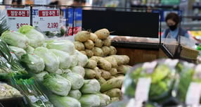 올해 가을 장마로 배추가격이 올랐지만 무 가격이 안정되면서 김장 비용이 지난해보다 약 2% 오를 것으로 조사됐다. 4인 가족 20포기 기준 김장 비용은 전통시장 기준 33만8000원, 대형마트 기준 40만4000원이다. /사진=뉴스