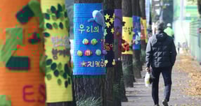 18일 전국이 춥고 일부 지역에 눈 또는 비가 내릴 것으로 예상된다. 사진은 지난 3일 경기 광명시 하안동 하담길 예술의거리 가로수에 뜨개옷이 입혀져 있는 모습. /사진=뉴스1 