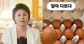 방송인 이경실(59)의 달갈 사업 관련 비판 여론이 일고 있다. /사진=이경실 유튜브, 조혜련 인스타그램