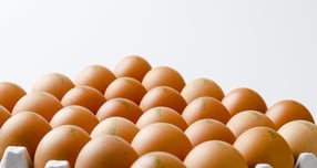 방송인 이경실 달걀 사업이 여론의 뭇매를 맞고 있다. /자료사진=클립아트코리