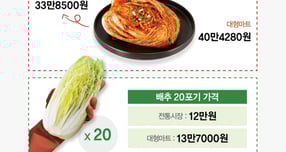 지난 17일 한국물가정보에 따르면 올해 배추 가격이 지난해보다 20% 올랐다. 다만 무·소금 등 다른 재료들 가격이 하락하며 전체 김장비용은 지난해보다 약 2% 올랐다./그래픽=강지호 기자