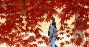 오는 22일 전국에 가끔 구름이 많고 중부지방을 중심으로 낮과 밤의 온도차가 클 것으로 예상된다. 사진은 21일 서울 중구 덕수궁 단풍. /사진=뉴시스