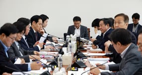 한병도 국회 예결위원장이 20일 서울 여의도 국회에서 열린 예산결산특별위원회 예산안등조정소위원회를 주재하고 있다./사진=뉴시스