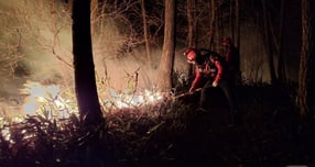 23일 새벽 강원 양양 서면 일대에서 발생한 산불 현장에서 진화대원이 야간 진화 작전을 펼치고 있다. 이번 산불은 22일 오후 6시 16분쯤 서면 서림리의 한 야산에서 시작됐다. 일몰로 헬기 투입해 불가한 가운데 당국은 장비와 인력 등 지상 자원을 총동원해 대응 중이다. (동부지방산림청 제공, 재판매 및 DB 금지) 2025.11.23/뉴스1  (양양=뉴스1) / 256@news1.kr