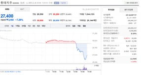 [특징주] 신유열 승진 등 롯데의 쇄신 인사… 주식시장은 '기겁'