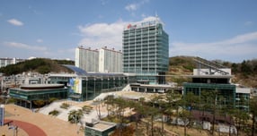 포항시청 전경. /사진제공=포항시