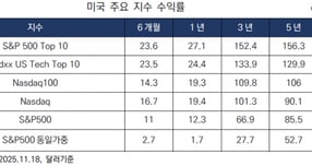 S&P500 상위 10개 종목 지수, 10년 수익률 526% 달성
