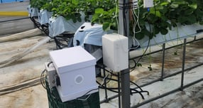  화분 매개용 디지털 벌통. /사진제공=화성특례시 